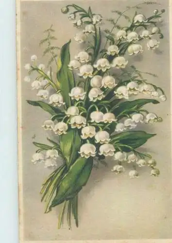 Post card Name Day greetings lily of the valley bouquet