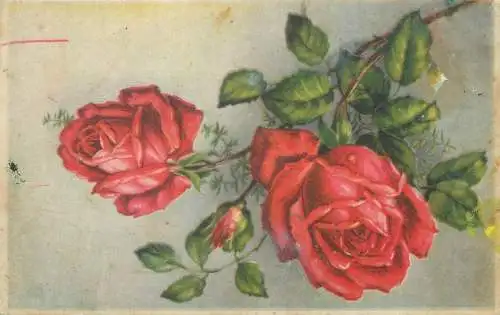 Postcard red roses flower bouquet
