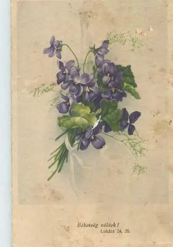 Postcard violets flower bouquet