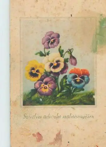Postcard pansies colourful bouquet Name Day greetings