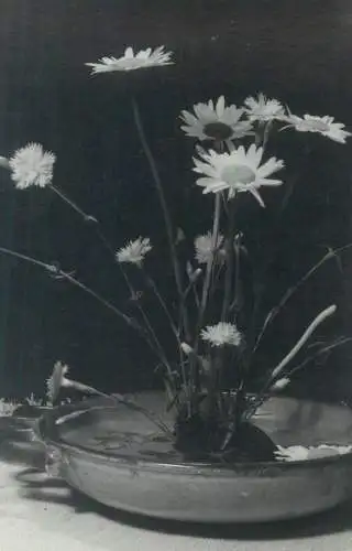 Postcard daisies floral arrangement