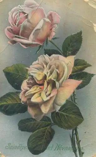Name Day greetings Postcard roses
