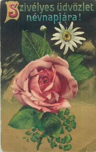 Name Day greetings Postcard rose daisy