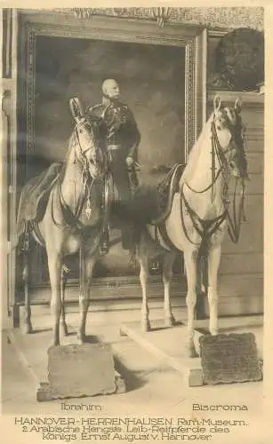 Konigs Ernst August v. Hannover horses Ibrahim & Biscroma museum Postkarte