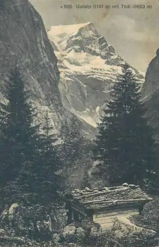Uelialp mit Tödi