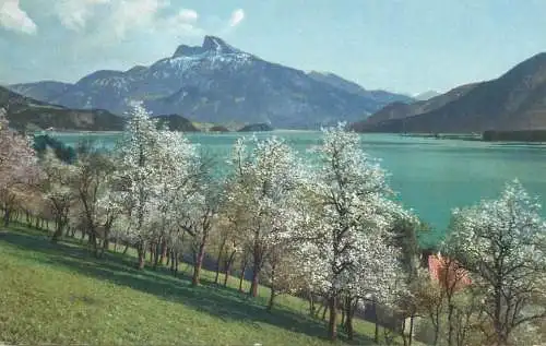 Salzkammergut Mondsee und Schafberg