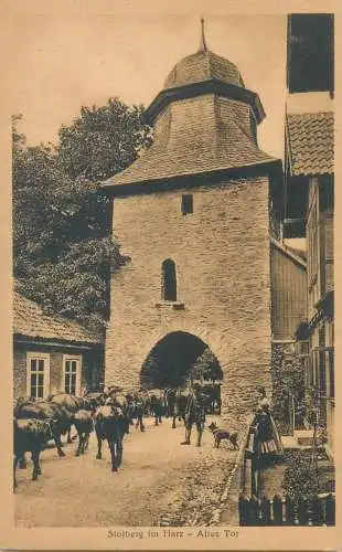 Stolberg AK cows vaches Altes Tor