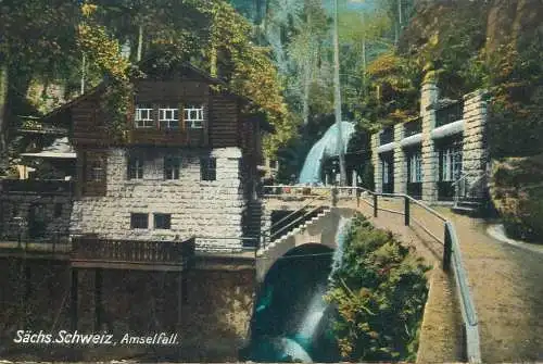 Amstelfall Saechs. Schw.