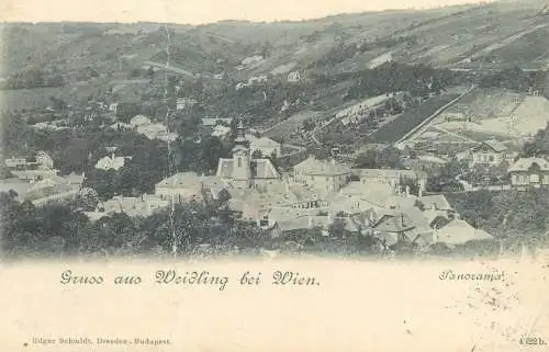 Gruss aus Weidling bei Wien panorama 1900
