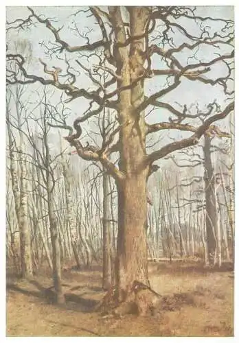 Postcard Landschaft Ferdinad von Rayski Gemalde