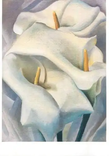 Postcard Callas flowers Georgia O'Keefe painting