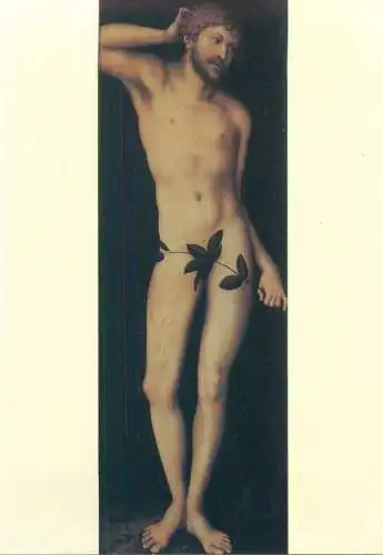 Nude in art postcard Firenze Galleria Uffizi Luca Cranach Adam