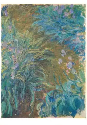 Postcard Irises Claude Monet Gemalde