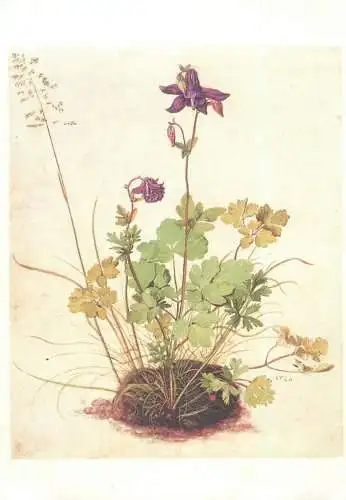 Postcard Durer Nachfolger