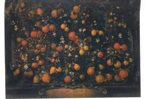 Post card Oranges and lemons Bartolomeo Bimbi painting