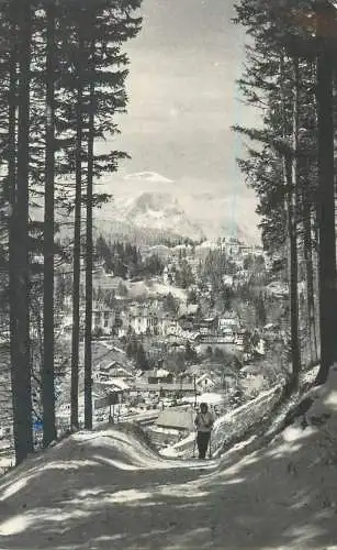 Post card Romania Sinaia vedere de pe Piscul Cainelui butterfly stamp
