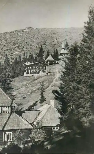 Post card Romania Caransebes cabane pe Muntele Mic