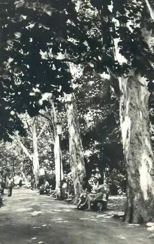 Postcard Romania Buzias vedere din parc