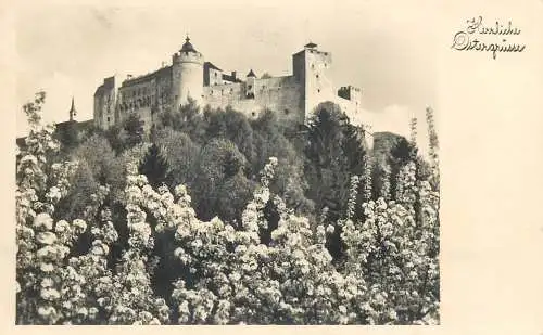 Austria castle photo postcard