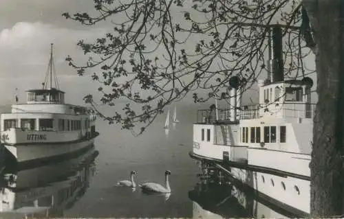 ferry germany ships lake swans navigation postkarte