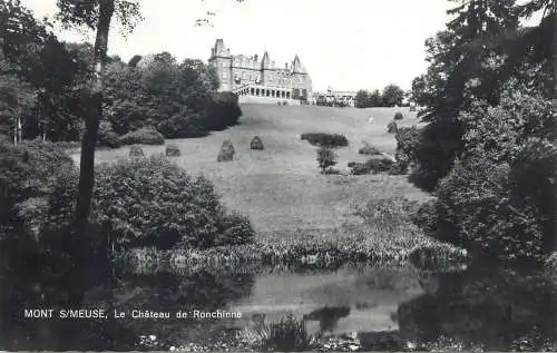 Le Chateau de Ronchinne Mont sur Meuse Belgium