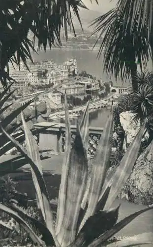 Monte Carlo casino & gardens
