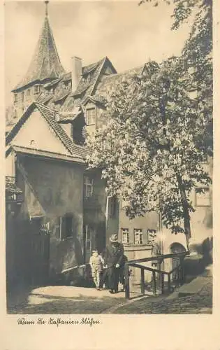 Foto Englert Allemagne chestnut tree