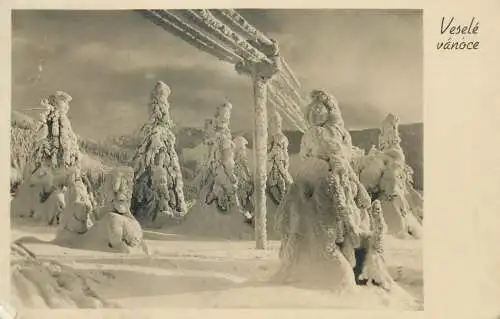 Winter scenic photo postcard Czech Republic greetings Vesele vanoce