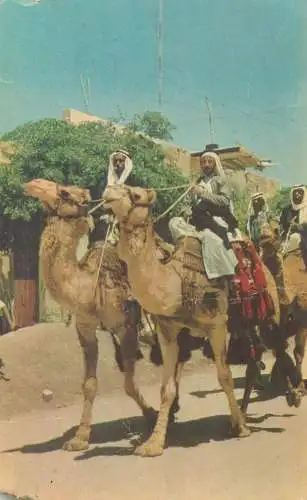 Israel bedouins on camels Beek Sheba