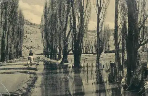 Argentina Mendoza