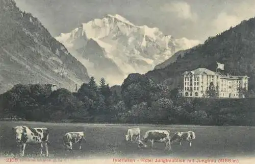 Interlaken pastoral alpine scenery cows vaches hotel