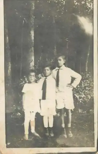 Postcard Children and family groups portrait social history enfants forest outdoor scenery photo