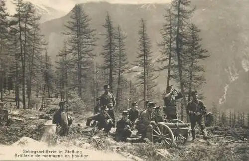 Armee Suisse artillerie de montagne en position cpa swiss border guards 1914/18