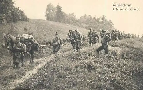 Armee Suisse Saumkolonne colonne de somme