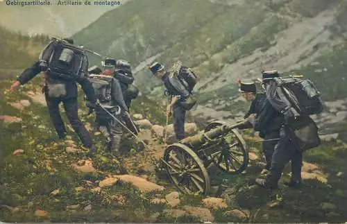 Swiss army Schweizer armee suisse war 1914/18 alpine artillery canon