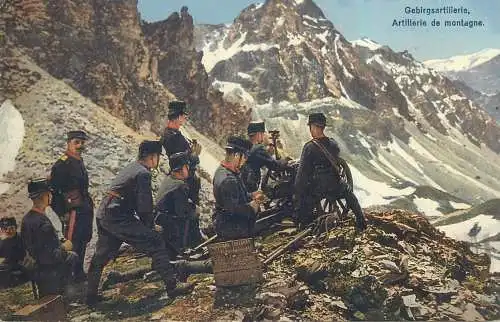 Armee Suisse mountains alpine artillery war 1914-1918