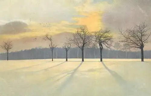 Berlin 1922 winter hiver Landschaft Photochrom AK