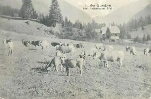 AK Austria In der Strechen Post Rottenmann cows vaches