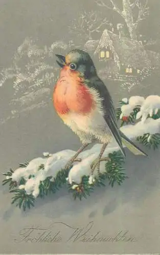 Christmas greetings drawn bird oiseau