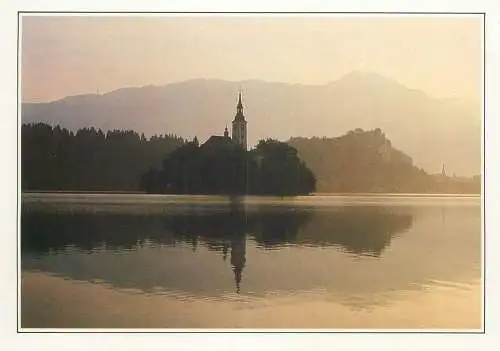 Postcard Slovenia Bled St Mary of the Lake church