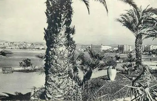 cpsm Cannes jardins