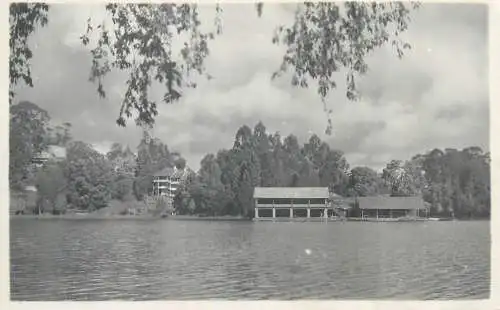 India scenic real photo postcard