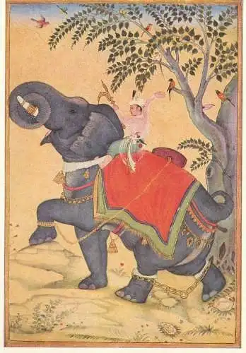 Post card India elephant training Zain al 'Abidin illustration
