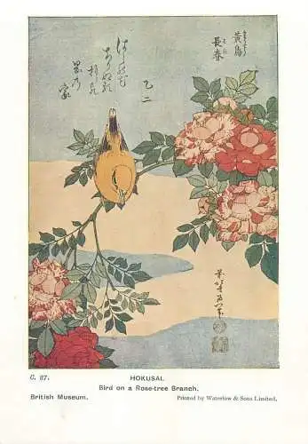 Post card bird on a rose-tree branch Hokusai illustration