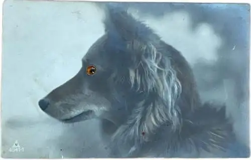Glass eye dog novelty postcard