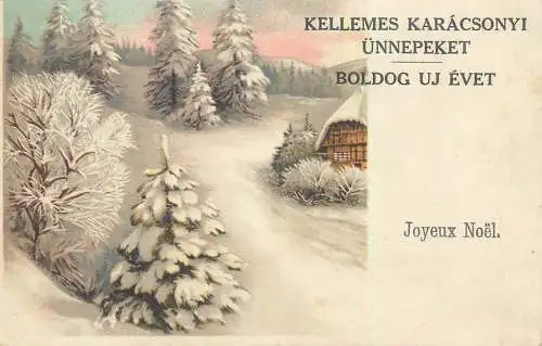 New Year greetings winter scenery postcard
