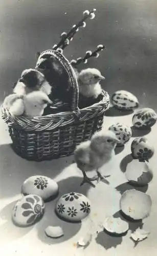 Easter chicks & penciled eggs Hungary greetings