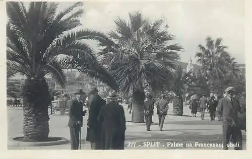 Croatia Split palme na Francuskoj obali