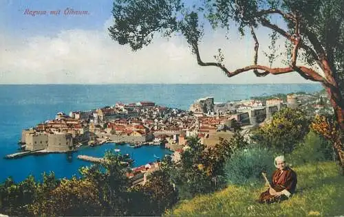 Croatia Ragusa Dubrovnik