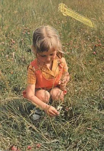 Birthday greeting Postcard young girl in the field picking flowers
